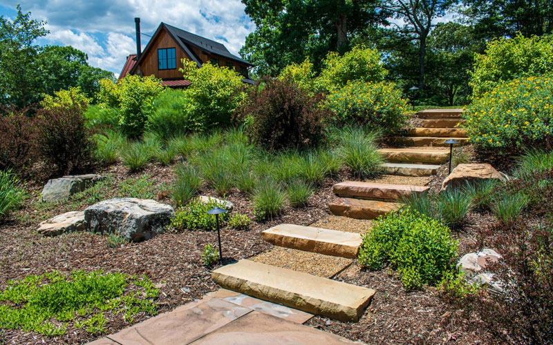 Landscape Designer And Developer