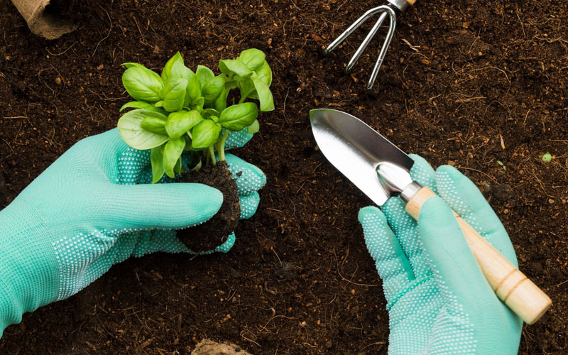 Plant Maintenance Services