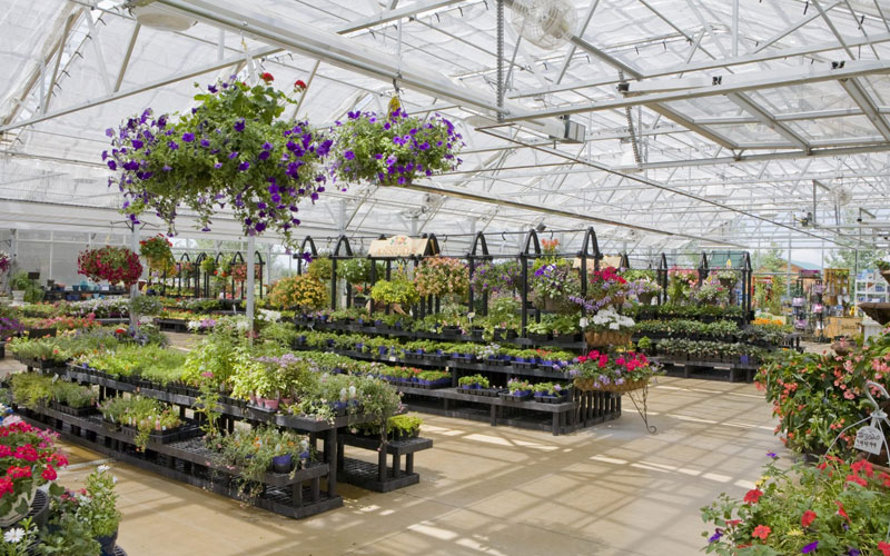 Nursery And Garden Store